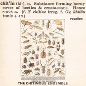 Chitinous