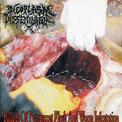 Ballads Of Putrescent Flesh and Worm Infestation