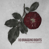 The Concrete Flower by No Bragging Rights