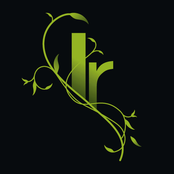 the secret traditions of washington ave.