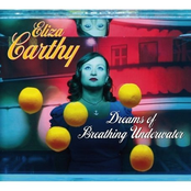 Follow The Dollar by Eliza Carthy