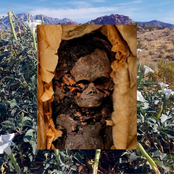 Fever Land Phantasmagoria