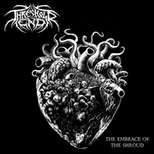 The Embrace of the Shroud