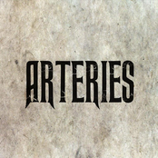 Arteries