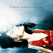 P.J. Harvey: To Bring You My Love