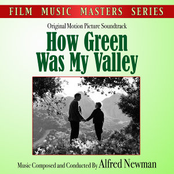 Huw Walks Among The Daffodils by Alfred Newman