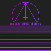 Modular Consciousness