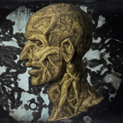 Progression Performance