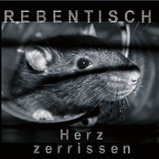 Danach by Rebentisch