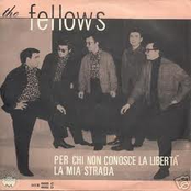 fellows