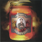 Shock Bite by Phil Keaggy