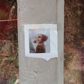 O Tempo, Temperança.