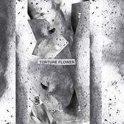 torture flower