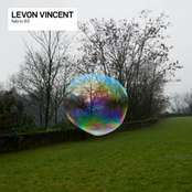 Early Reflections by Levon Vincent