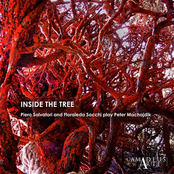 Inside the Tree