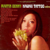 Hawaii Tattoo by Martin Denny