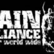 pain alliance