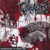 Disassembling The Human Form