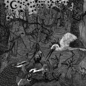 I've Been Having Strange Dreams