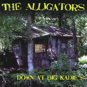 Money Tree by The Alligators