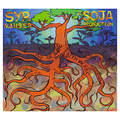 Syr Mahber A SOJA Production