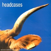 The Stork Flight by Headcases