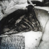 A Is For Autopsy