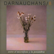 Entre el micrófono y la penumbra