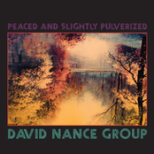 David Nance Group: Peaced and Slightly Pulverized