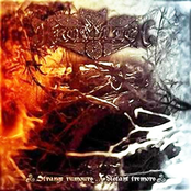 Strange Rumours...Distant Tremors