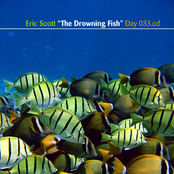 Day 033. "The Drowning Fish"