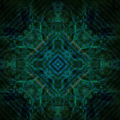 Spoken In Disappearances