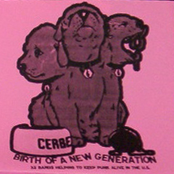 Birth Of A New Generation