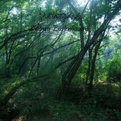 Solitary Existentialism