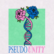 Pseudo Unity