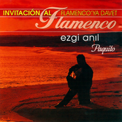 Flamenco'ya Davet