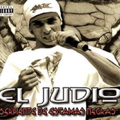 Serpiente De Escamas Negras