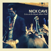 Black Hair by Nick Cave