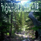 the wounded healer