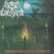 Profanos Segredos Noturnos