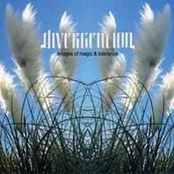 DIVERGENTION / Bridges Of Magic And Tolerance   /LP 2006