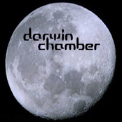 3D Nighttime Forest Environment