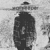 Wallsleeper