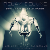 Relax Deluxe - Robotronic Groove (feat. ELEKTROFISH)