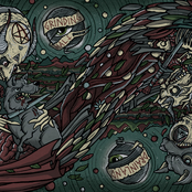 Split 10" with Drainland