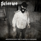 Mazowieckie DIY i Setka w Bramie