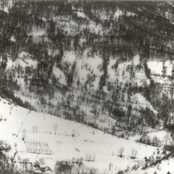 kokë plot fotografi