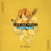 David Taylor: Love Like Tequila (LIZOT Remix)