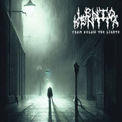 From Below the Lights