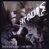 Beneath the Swarm
